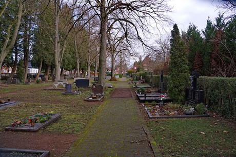 Kierdorf