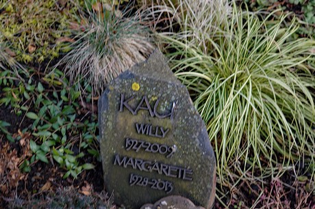 Kierdorf