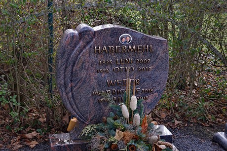 Kierdorf