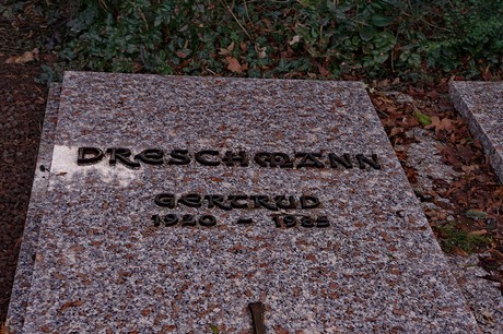 Kierdorf