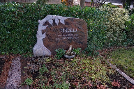 Kierdorf