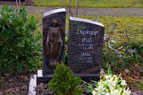 Kierdorf