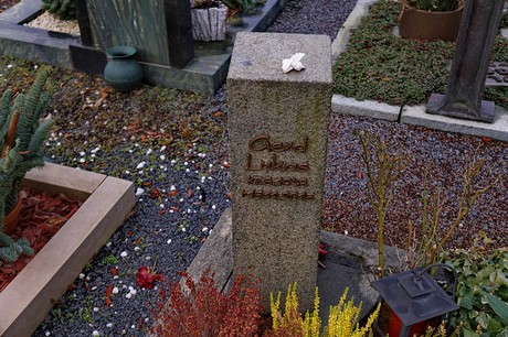 Kierdorf