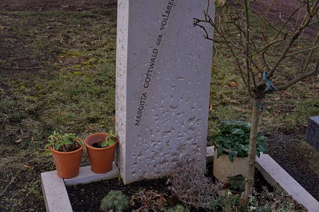 Kierdorf