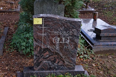 Kierdorf