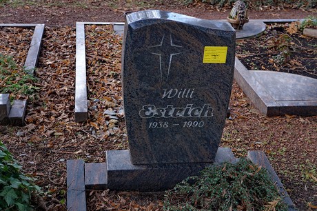 Kierdorf