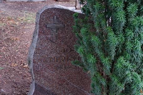 Kierdorf