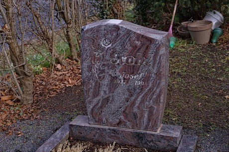Kierdorf