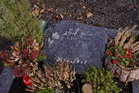 Kierdorf