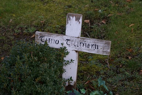 Kierdorf