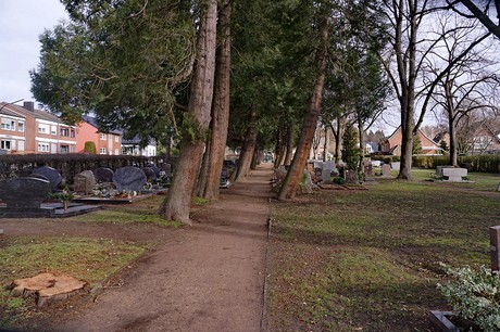 Kierdorf
