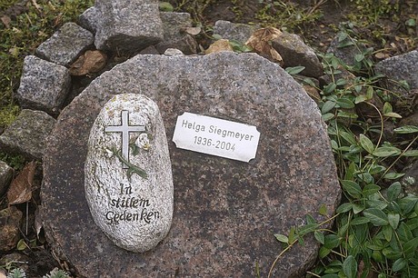 Kierdorf