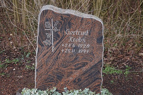 Kierdorf