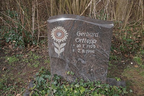 Kierdorf