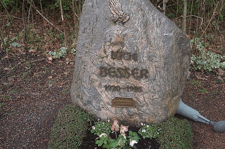Kierdorf