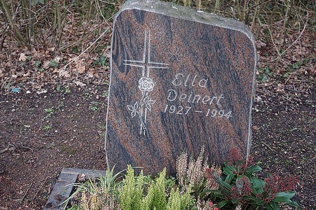 Kierdorf