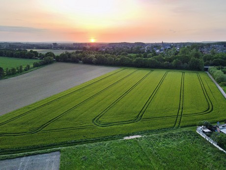 Kierdorf