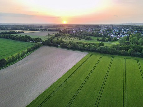 Kierdorf