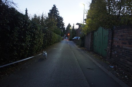kierdorf