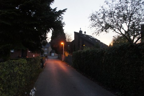 kierdorf