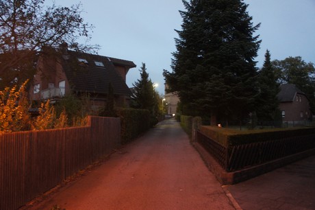 kierdorf