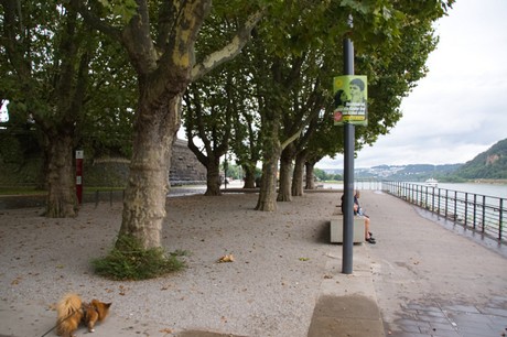 Koblenz
