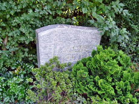 friedhof