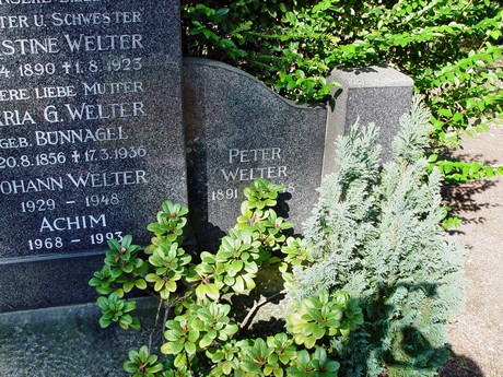 friedhof