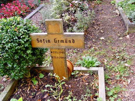 friedhof