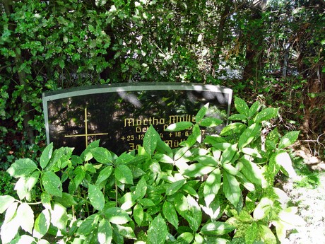 friedhof