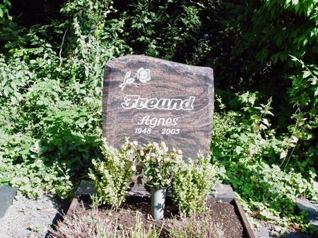 friedhof