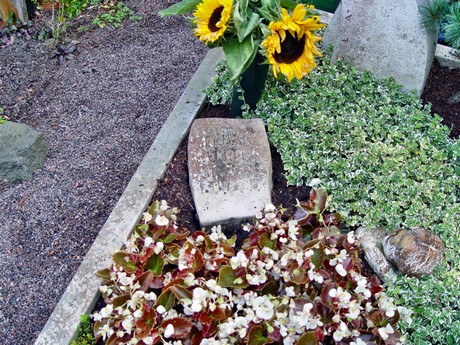 friedhof