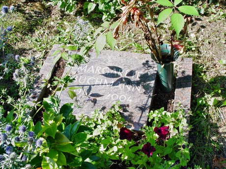 friedhof