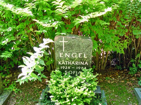 friedhof