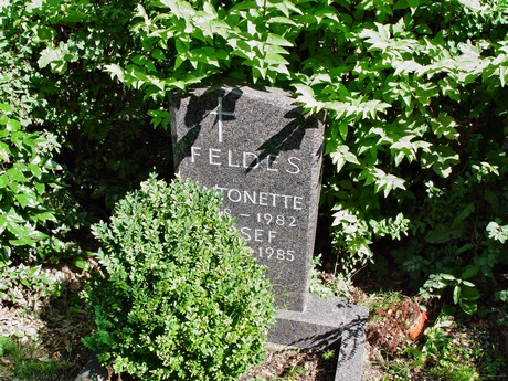 friedhof