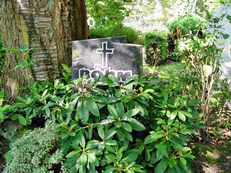 friedhof