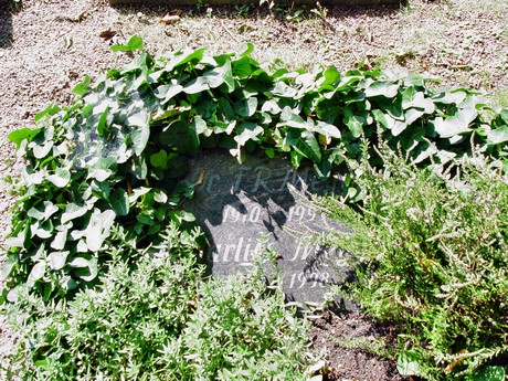 friedhof