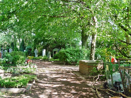 friedhof