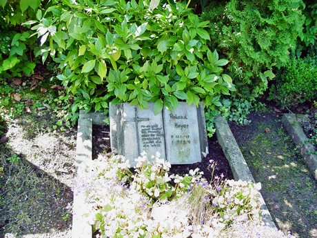 friedhof