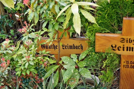 koenigsdorf