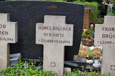 koenigsdorf