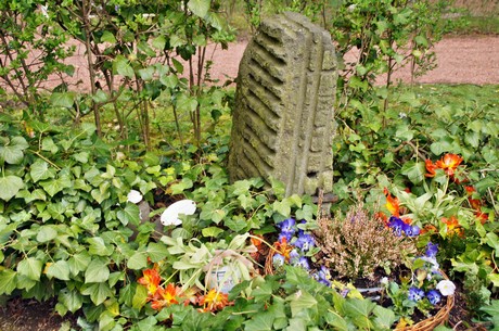 koenigsdorf