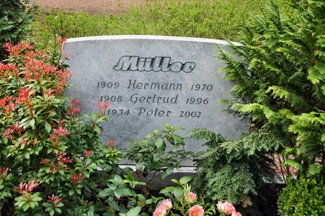 koenigsdorf