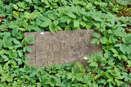 koenigsdorf