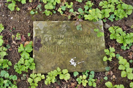 koenigsdorf