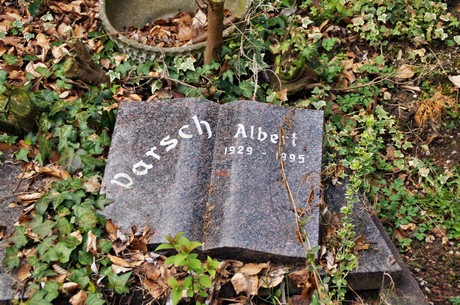 koenigsdorf