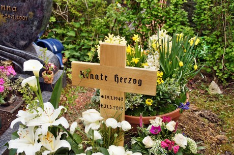 friedhof