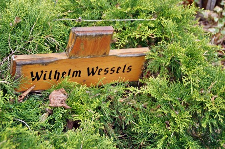 friedhof