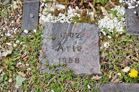 friedhof