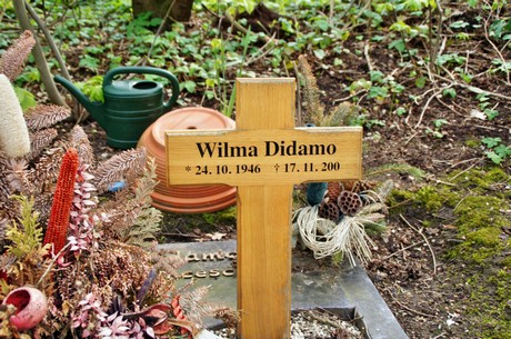 friedhof
